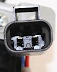 Front And Rear, Passenger Side Power Window Regulator, With Motor