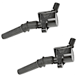 2005 Ford F-150 - Ignition Coil, Set of 2, 8 Cyl 4.6L