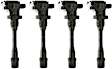 SET-DELGN10191 Ignition Coil, Set of 4