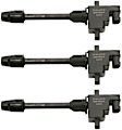 SET-DELGN10224 Ignition Coil, Set of 6, 3.0L, 6Cyl