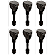 SET-DELGN10242-6 Ignition Coil, Set of 6