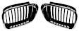 SET-GXL51137005838 Base Grille Insert, Black