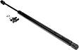 Driver and Passenger Side Hood Lift Support, Coupe/Sedan