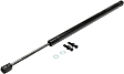 Driver and Passenger Side Hood Lift Support, Coupe/Sedan