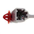 2005 Honda Civic - Sedan Front and Rear, Driver and Passenger Side Power Window Regulator, With Motor, 4-Door, Canada or USA Built Vehicle