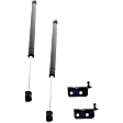 2003 Isuzu Rodeo - Lift Support Liftgate Glass