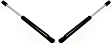 Driver and Passenger Side Liftgate, Trunk lid Lift Supports