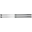 2007 Acura MDX - Driver and Passenger Side Lift Support Hood