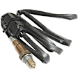 Before and After Catalytic Converter Oxygen Sensors, 4-Wire and 5-Wire, 6 Cylinder