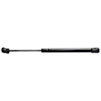 Driver and Passenger Side Hood, Trunk Lid Lift Support, Sedan, Set of 4