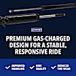 Front, Driver and Passenger Side Shocks, Except Handling Package, Except Taxi Package, without Performance Package