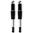 Rear, Driver and Passenger Side Shock