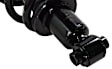 Rear, Driver and Passenger Side Fully Loaded Strut