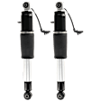 Rear, Driver and Passenger Side Air Strut
