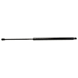 Driver and Passenger Side Liftgate Lift Support, Sport Utility, Set of 2