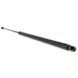 Driver and Passenger Side Liftgate Lift Support, Sport Utility, Set of 2