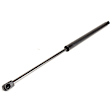 Driver and Passenger Side Liftgate Lift Support, Sport Utility, Set of 2