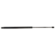 Driver and Passenger Side Liftgate Lift Support, Sport Utility, Set of 2