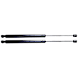 Driver and Passenger Side Liftgate Lift Support, Sport Utility, Set of 2