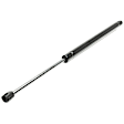 Driver and Passenger Side Liftgate Lift Support, Sport Utility, Set of 2