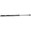 Driver and Passenger Side Liftgate Lift Support, Sport Utility/Crew Cab Pickup