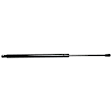 Driver and Passenger Side Liftgate Lift Support, Sport Utility/Crew Cab Pickup