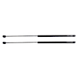 Driver and Passenger Side Hood Lift Support, Sedan, Set of 2