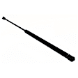 Driver and Passenger Side Hood Lift Support, Sedan, Set of 2