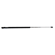 Driver and Passenger Side Hood Lift Support, Sedan, Set of 2