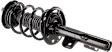 Fully Loaded Strut