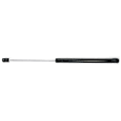 2010 Mercury Mariner - Lift Support Liftgate Glass, Sport Utility