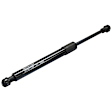 Driver and Passenger Side Trunk Lid Lift Support, Sedan, For Models With Rear Spoiler