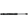 Driver and Passenger Side Trunk Lid Lift Support, Sedan, For Models With Rear Spoiler