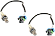 Before Catalytic Converter Oxygen Sensor, Set of 2, 4-wire