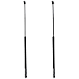 Driver and Passenger Side Hood Lift Support, Set of 2