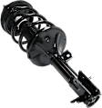 Fully Loaded Strut