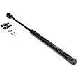 Driver and Passenger Side Liftgate Glass Lift Support, Sport Utility