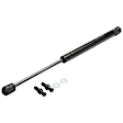 Driver and Passenger Side Liftgate Glass Lift Support, Sport Utility