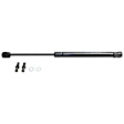 Driver and Passenger Side Liftgate Glass Lift Support, Sport Utility