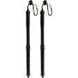 Driver and Passenger Side Liftgate Lift Support, Sport Utility, Set of 2