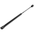 Driver and Passenger Side Hood Lift Support, Sport Utility