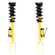 Front or Rear, Driver and Passenger Side Shock