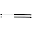 2012 Lexus RX450h - Driver and Passenger Side Lift Support Hood, Sport Utility