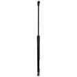 Driver and Passenger Side Hood Lift Support, Set of 2