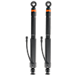 Rear, Driver and Passenger Side Shock