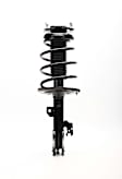 Fully Loaded Strut