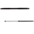 Driver and Passenger Side Hood, Liftgate Lift Support, Sport Utility, Set of 2