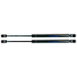 Driver and Passenger Side Deck Lid Lift Support, Set of 2