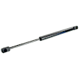 Driver and Passenger Side Deck Lid Lift Support, Set of 2