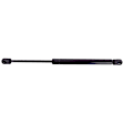Driver and Passenger Side Deck Lid Lift Support, Set of 2
